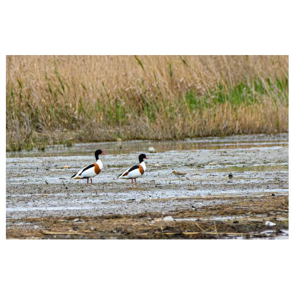 PHOTO84, CLUB, 84 , LUBERON